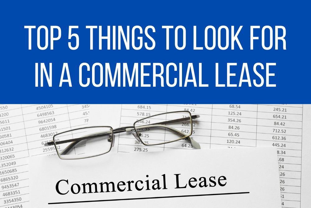 Top 5 things to look for in a commercial office lease